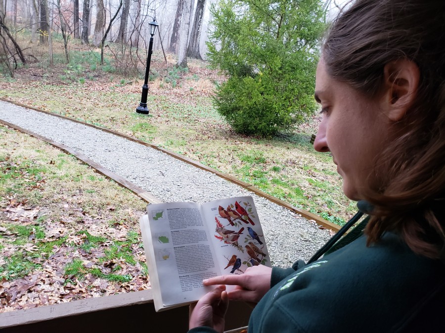 woman looking at bird watching book