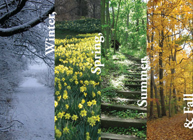 graphic of 4 seasons