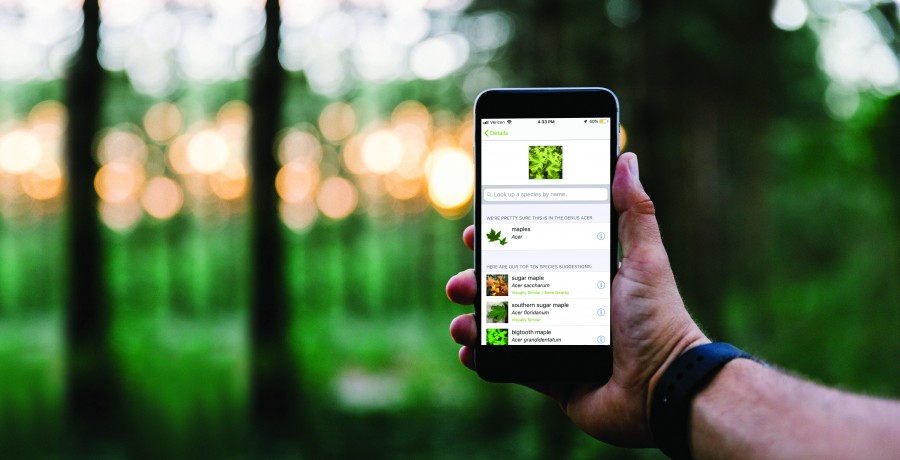 person hand holding phone displaying the iNaturalist app