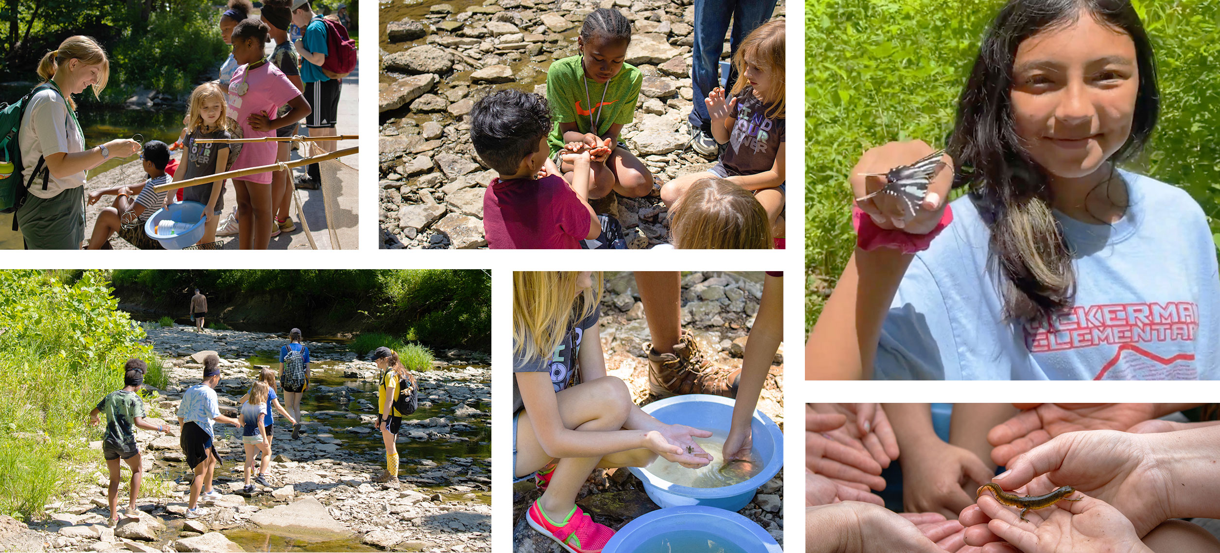 Nature for All kids in various examples of outdoor exploration.