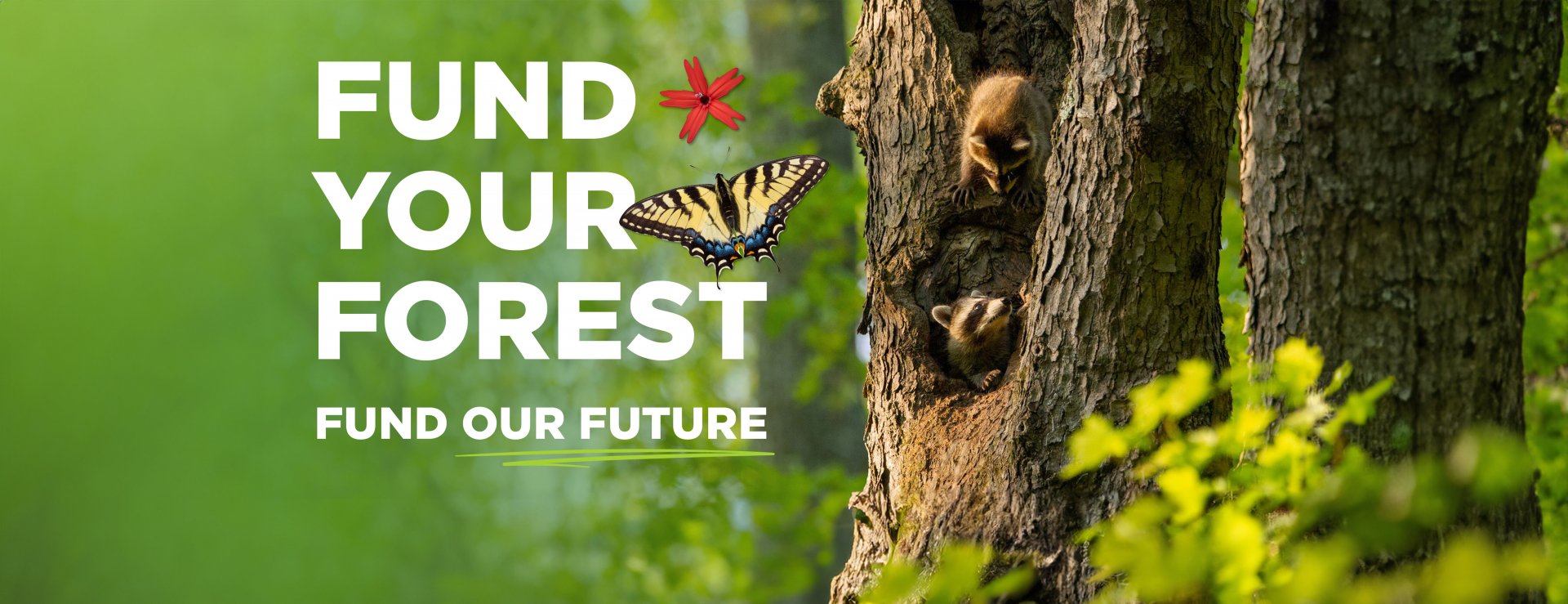 A tree with baby raccoons, a red flower, and butterfly surround the words "Fund Your Forest. Fund Our Future".