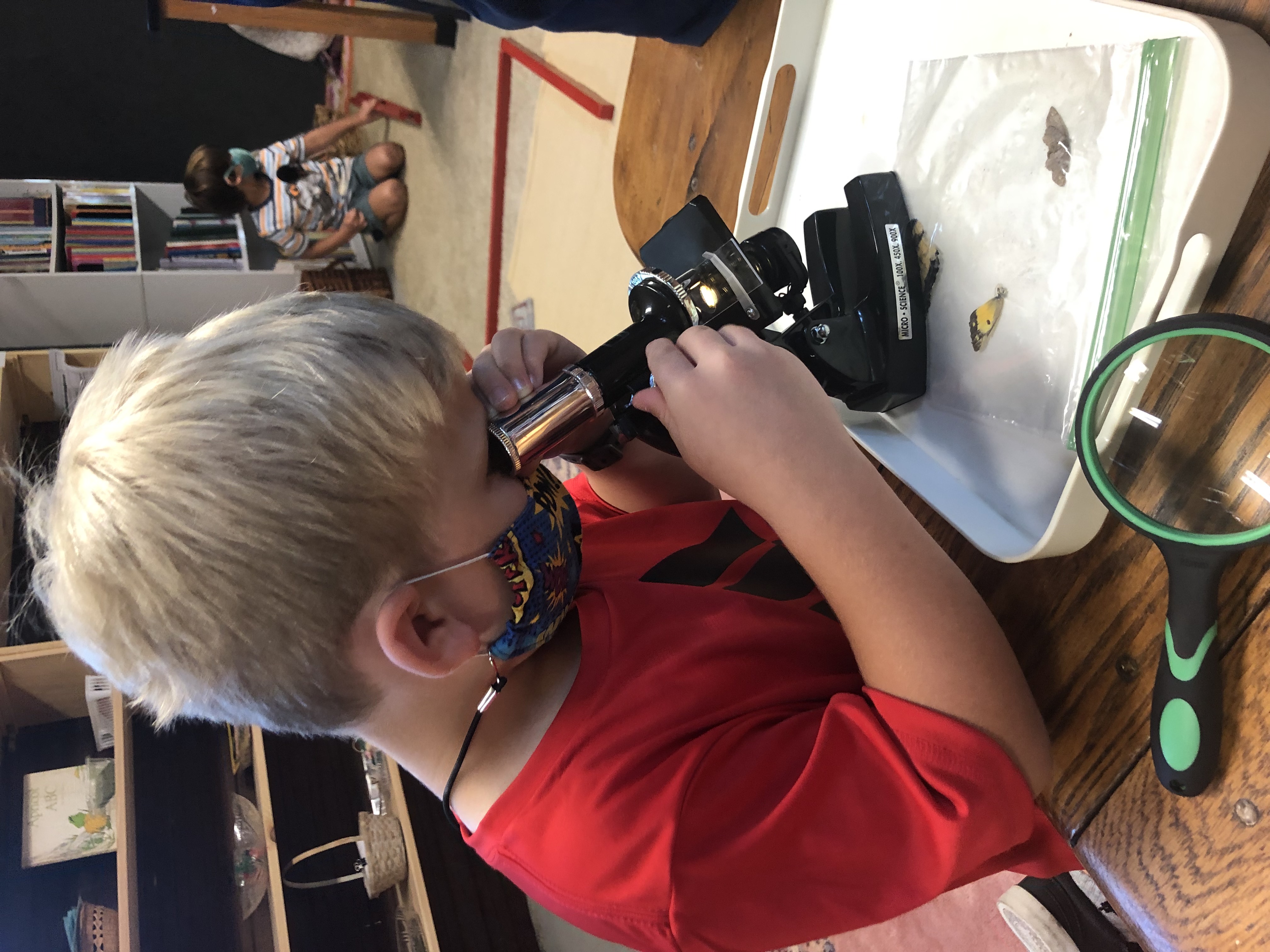 A young boy looks through a microscope