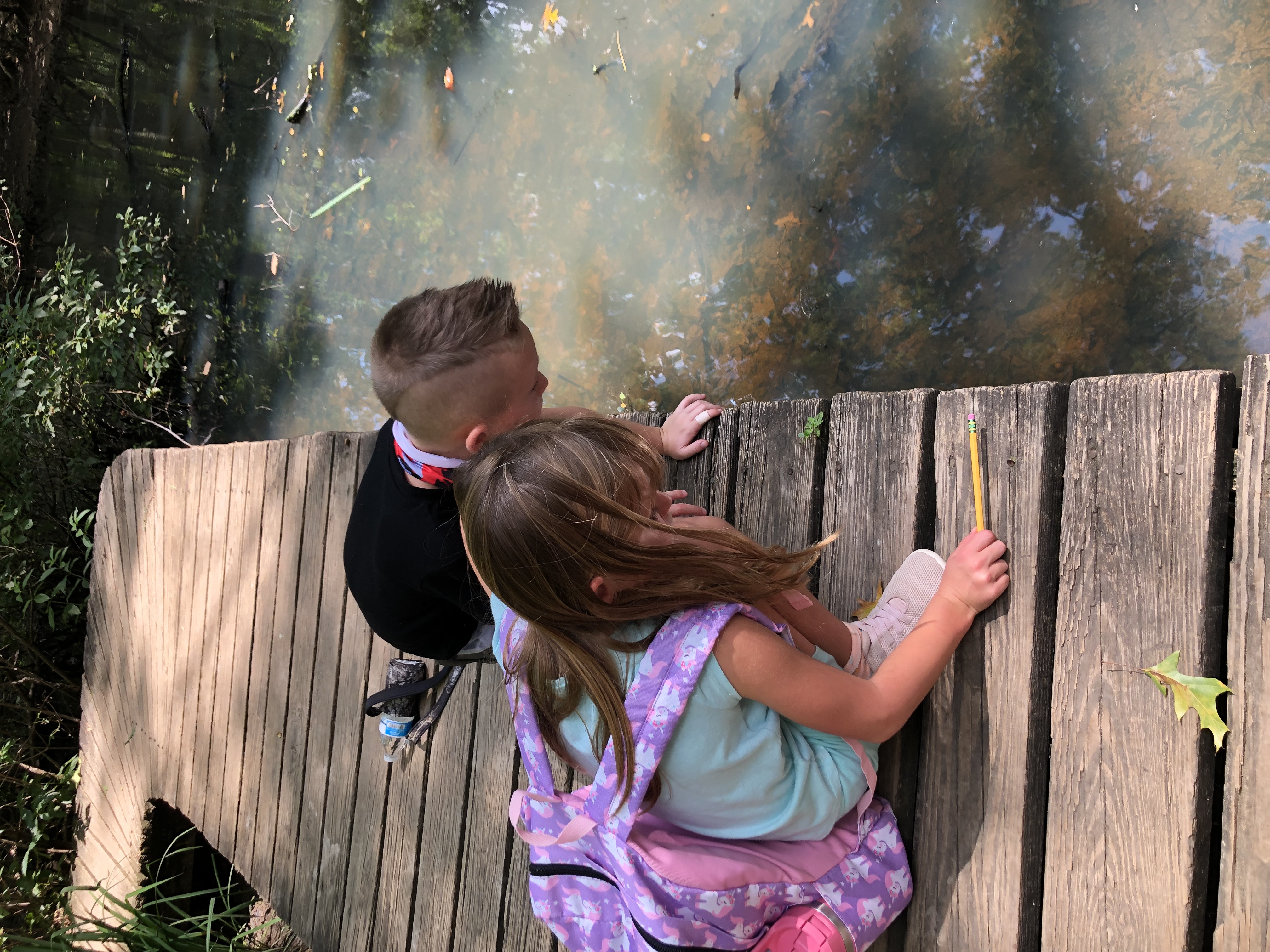 Two young children looking into a pond