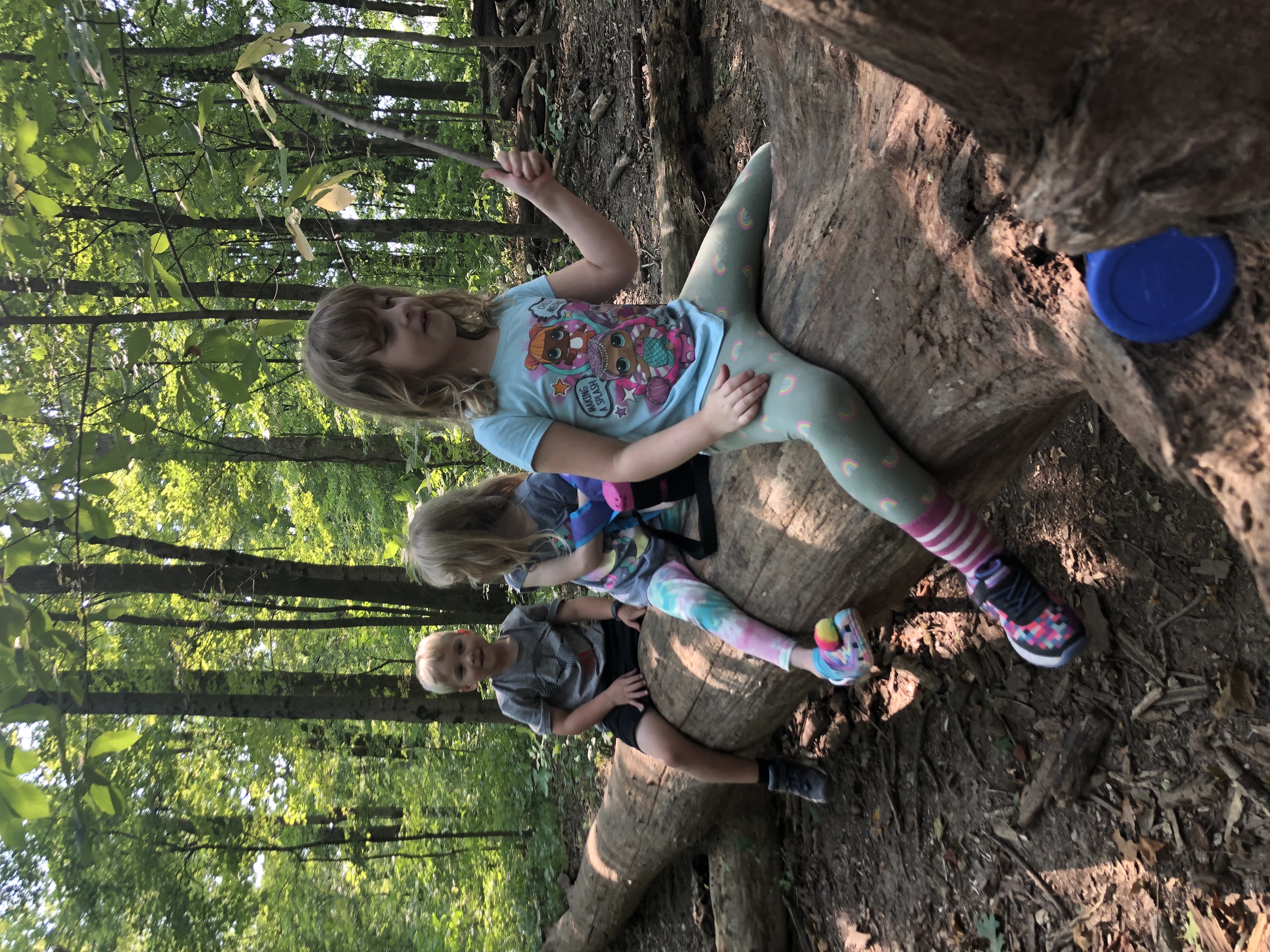 Young children explore the woods and climb on fallen logs