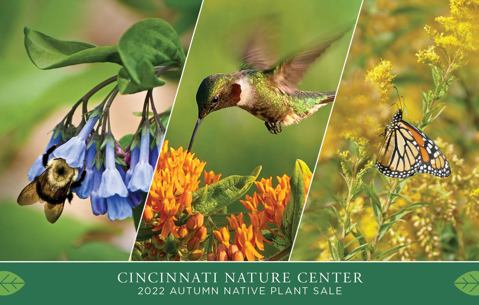 Autumn Native Plant Sale Catalog Cover with Bee, Hummingbird, and Monarch Butterfly on Flowers