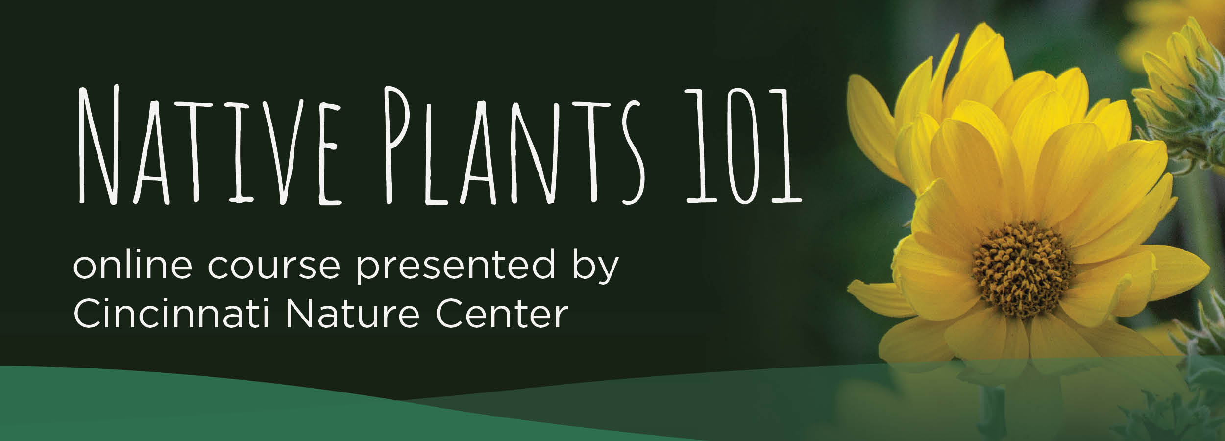 Native Plants 101 Online Course presented by Cincinnati Nature Center