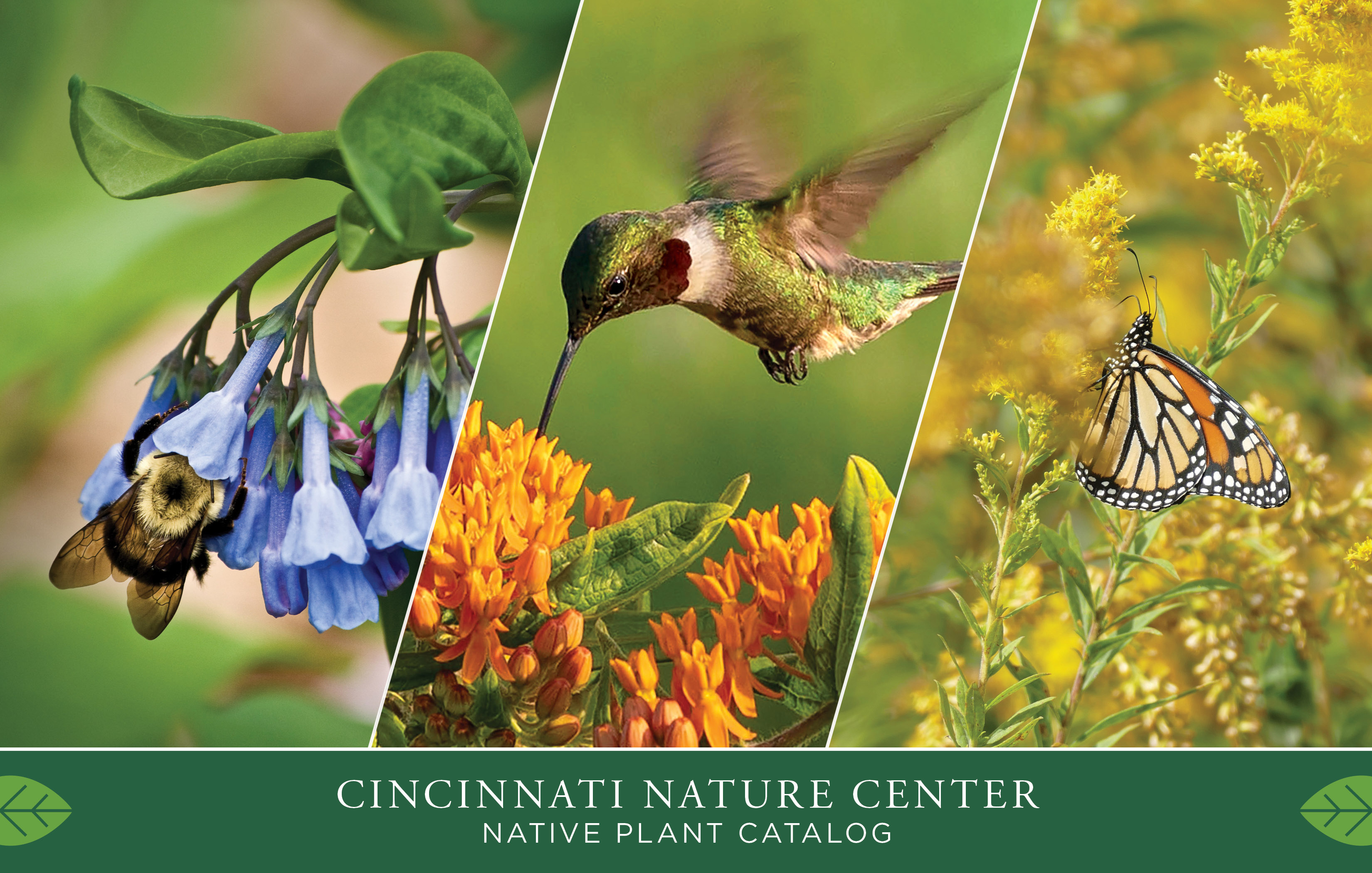Cincinnati Nature Center Spring Native Plant Sale Catalog