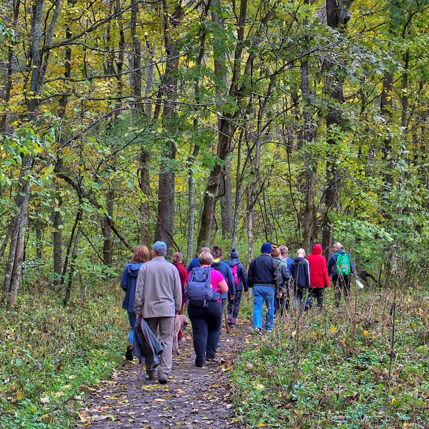 Group of adults hiking on a trail