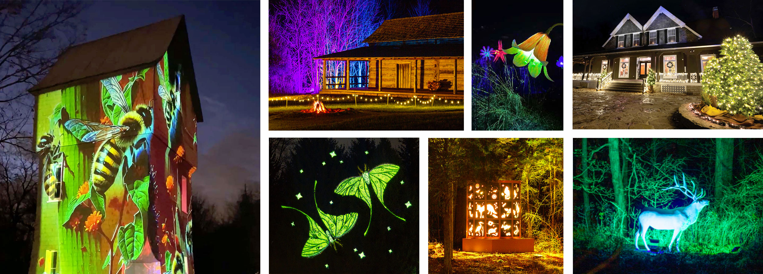 Collage of images from past year's Light in the Forest light installations.