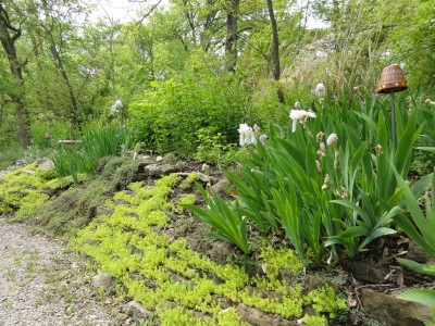 A view of the Herb Wall